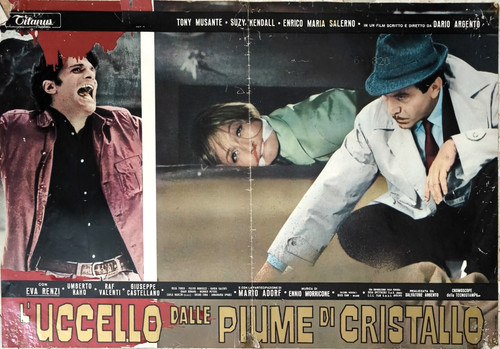 Uccello dalle piume di - uccello,