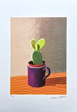 DAVID HOCKNEY - Il cactus su
