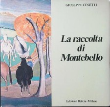 LA RACCOLTA DI MONTEBELLO