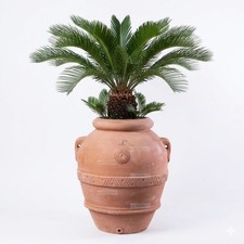 Orcio in Terracotta h 70 cm