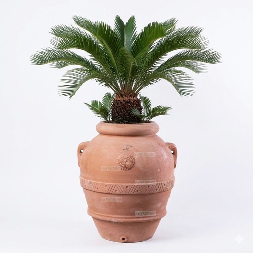 Orcio terracotta 70 cm - h,
