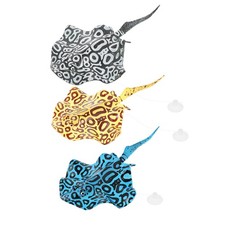  3 Pcs Pesci Decorativi