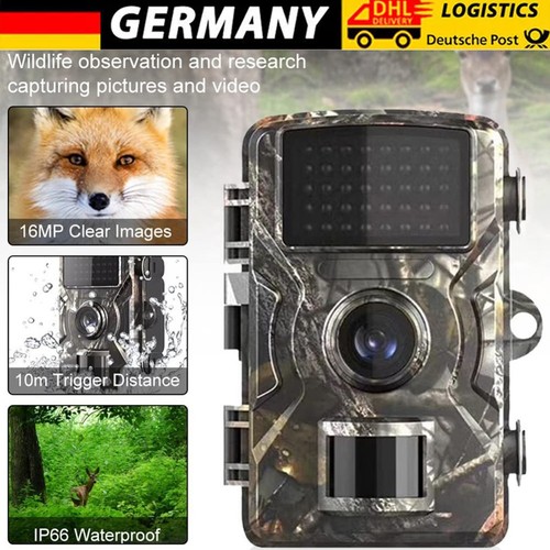 Telecamera per animali