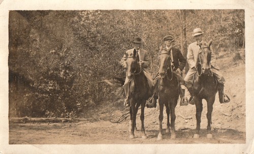 Foto antica uomini cavalli - foto,