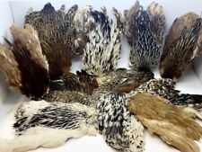 Piuma Collo, Mantelli di Gallo