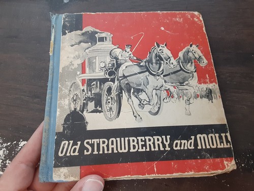 Old strawberry and molly - molly, ~