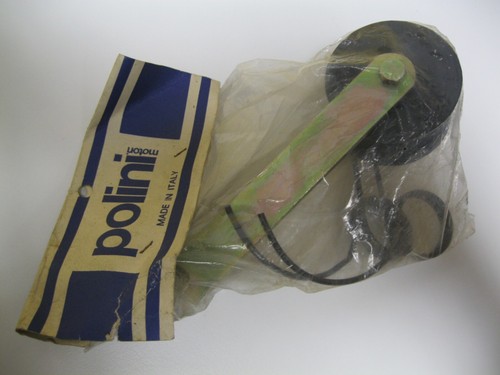 Tendicatena polini fantic - -,