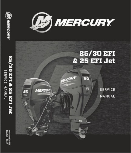Mercury efi 25 - 25,