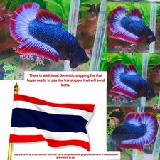 Bandiera della Thailandia
