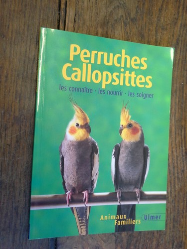 Pappagallini callopsittes kurt - pappagallini, callopsittes/kurt