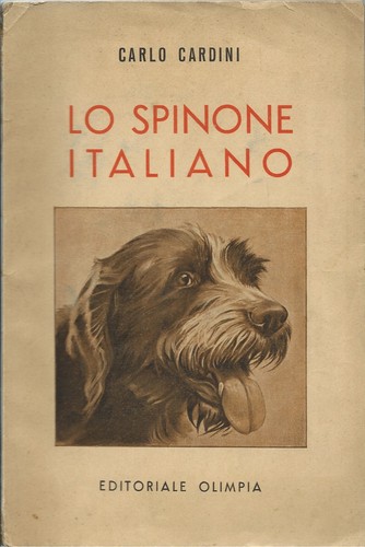 Cardini spinone italiano - lo,