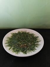 Illy collection piattino