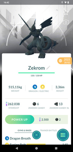 Sfondo zekrom non lucido - non,