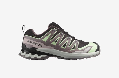Salomon pro gtx woman - xa,