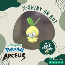 Petilil Shiny ✨ Legends