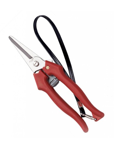 Forbice per vendemmia - , inox