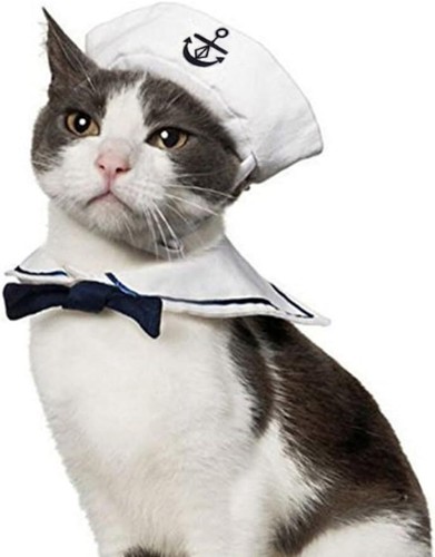 Costumi divertenti per - , animali