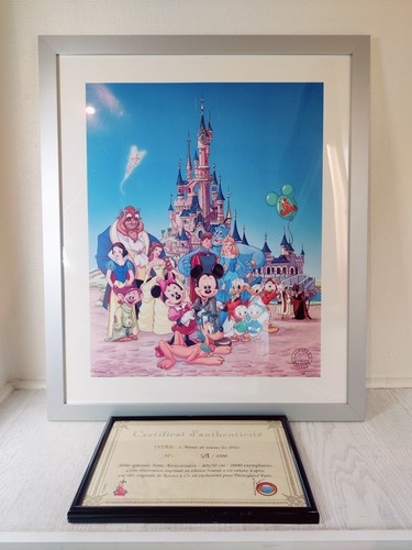 Disneyland paris year - paris, 5