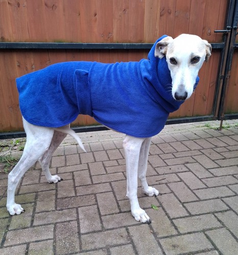 Cappotto per cani pile - cappotto,