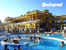 Calamita frigorifero Budapest