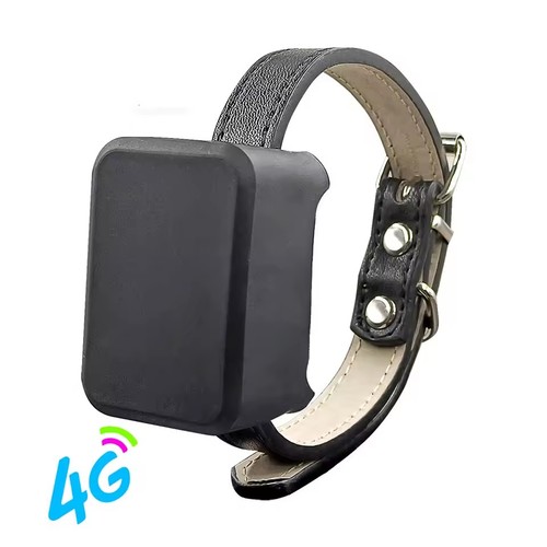 Mini localizzatore gps cani - mini, 4g