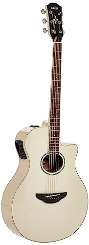 Chitarra elettrica acustica
