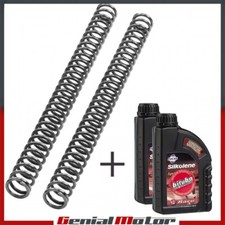 BMW F 800 GS 2008 SET MOLLE