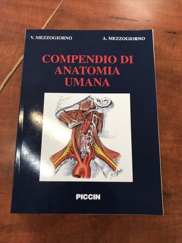 Mezzogiorno compendio - mezzogiorno-compendio, di