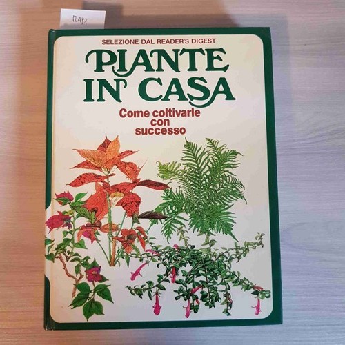 Piante casa come - in, coltivarle