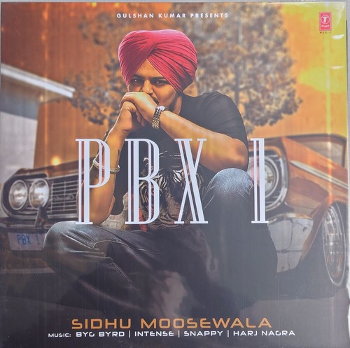 Punjabi new vinyl sidhu - vinyl,