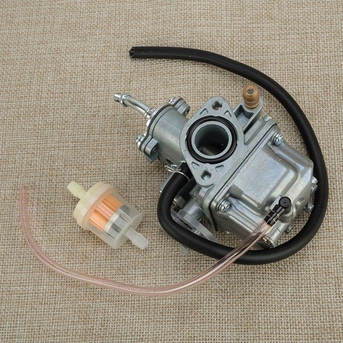 Carburetor fuel filter - carburetor,