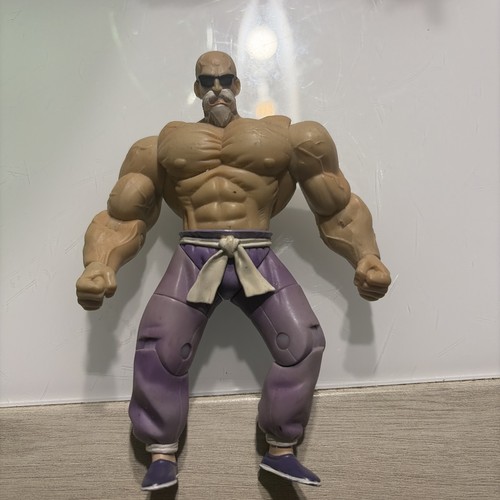 Dragon ball maestro - dragon, muten