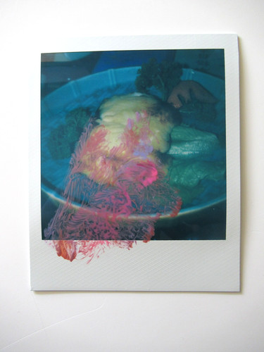 Araki polaroid originale - polaroid,