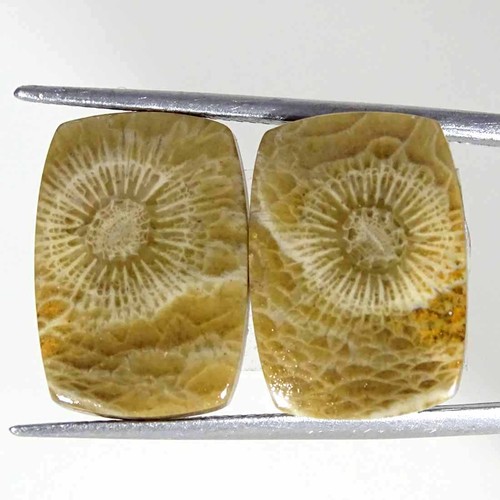 40cts coppia gemma - coppia,