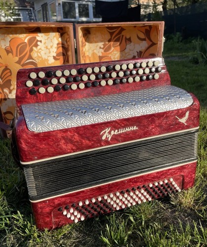 Fisarmonica vintage file - vintage,