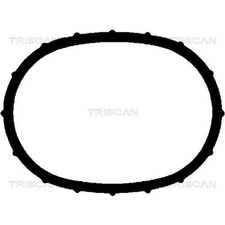 Triscan Guarnizione Coperchio