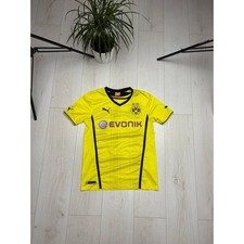 2013-14 Borussia Dortmund #15