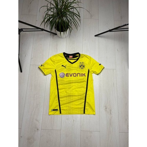 2013 borussia dortmund 15 - 2013-14,