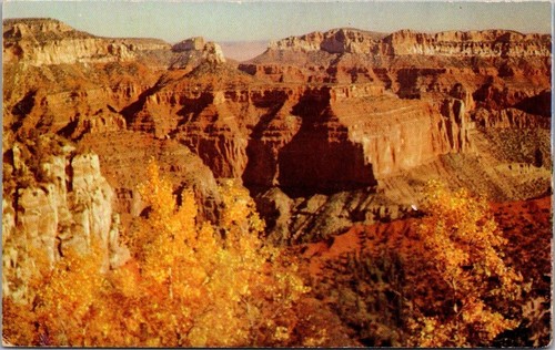 Cartolina grand canyon - grand,