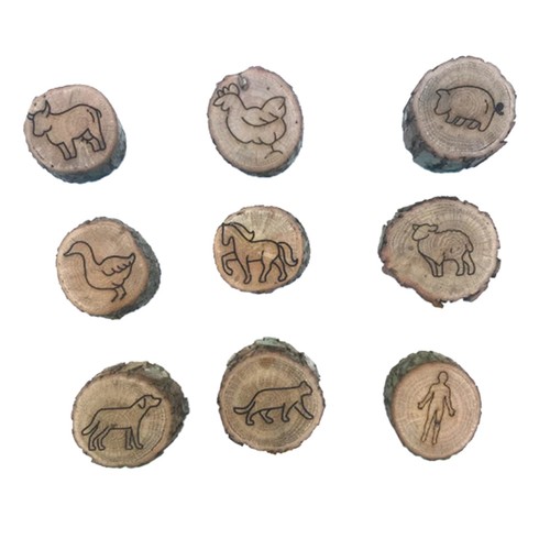 Pezzi tracce di animali - 9,