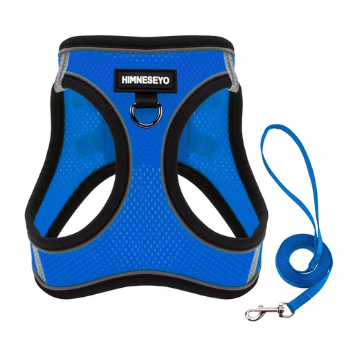 Set imbracatura guinzaglio - set,