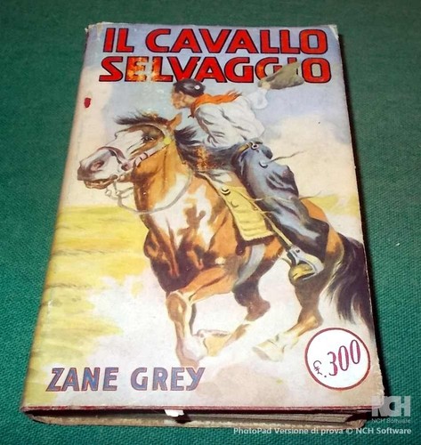 Cavallo selvaggio zane - selvaggio, di