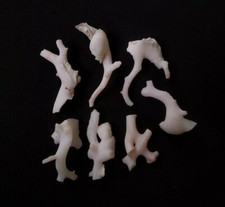 100% Naturale Giapponese