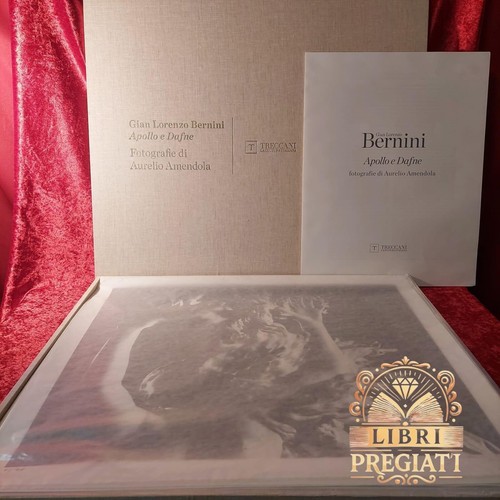 Treccani bernini apollo e - 💎treccani,