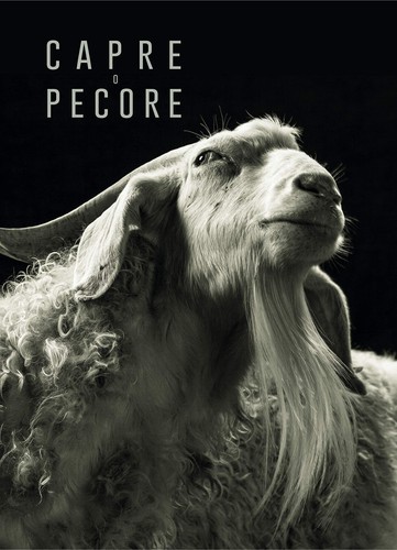 Capre pecore ediz - capre, pecore.