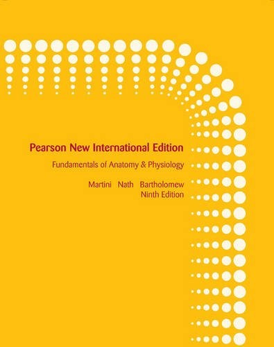 Fundamentals anatomy - fundamentals, &