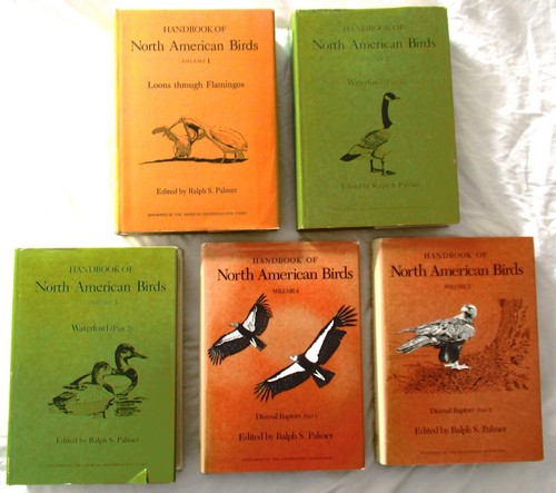 Volumes handbook north - 5,