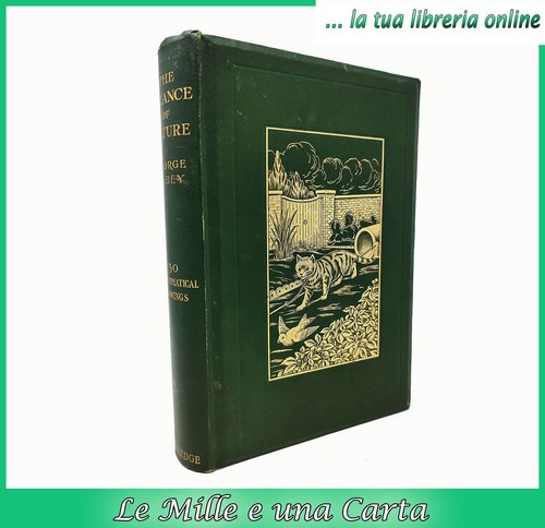 Libro antico illustrato - libro,