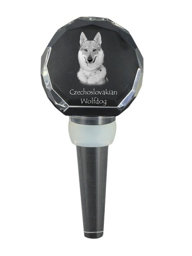 Cane lupo cecoslovacco - cecoslovacco,