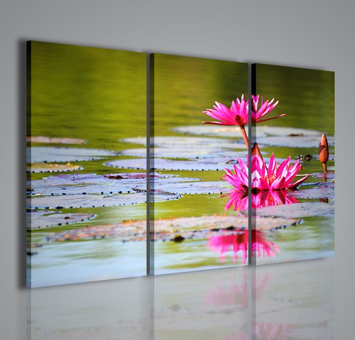 Quadri moderni flower water - quadri,